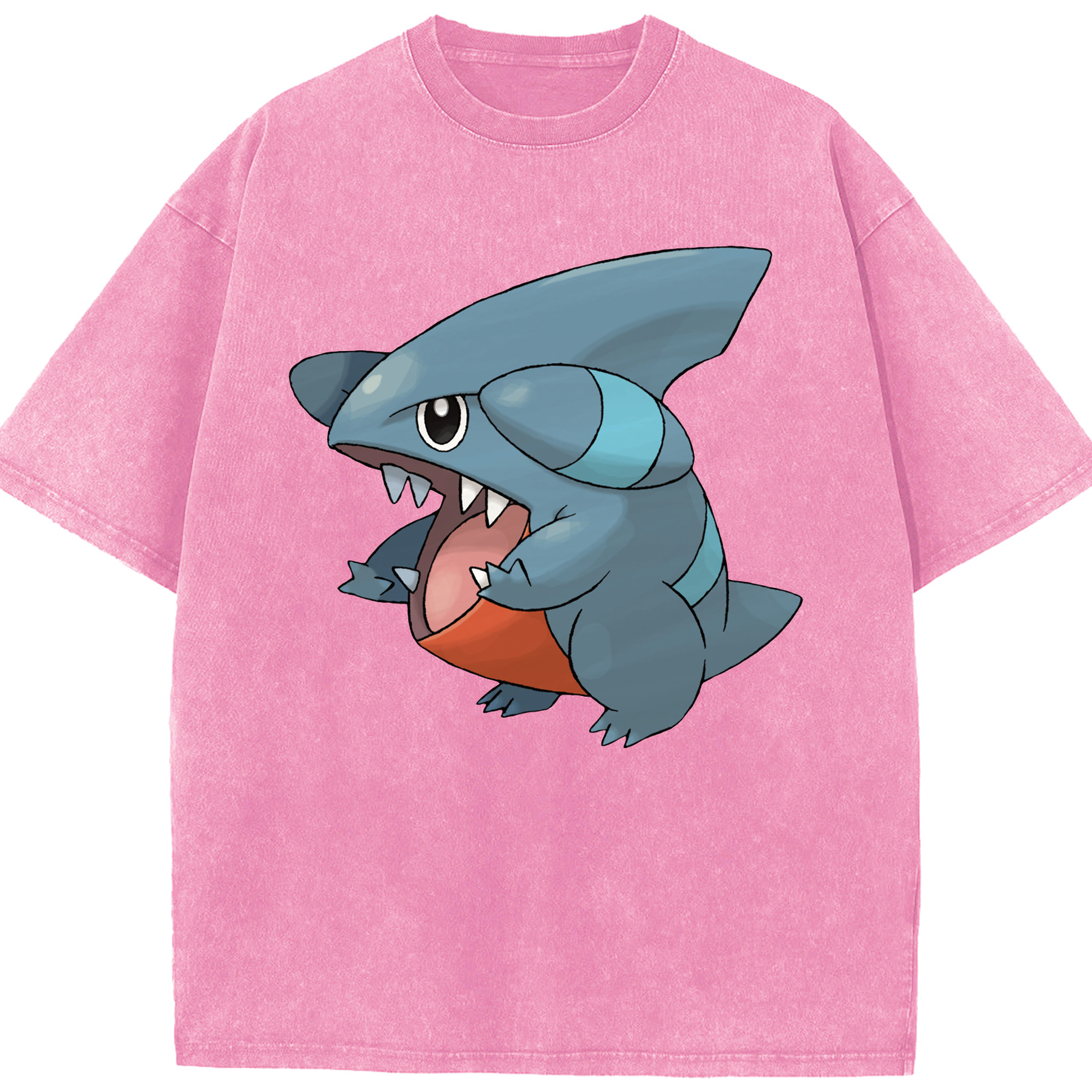 （画像用） ポケットモンスター Pokémon 綿100% ヴィンテージ風 半袖Tシャツ（フロントプリント）